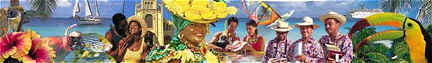 http://www.doitcaribbean.com