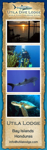 Utila Resort and Utila Diving - Utila Lodge, Honduras