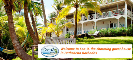 Das Sea-U Guest House bei Bathsheba: Von einer Deutsch sprechenden Besitzerin persnlich gefhrtes Gstehaus.