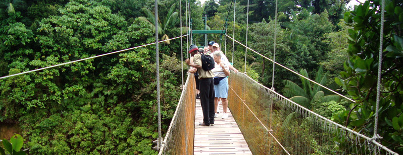 Spaziergang ber Dschungel-Wipfeln Dominicas