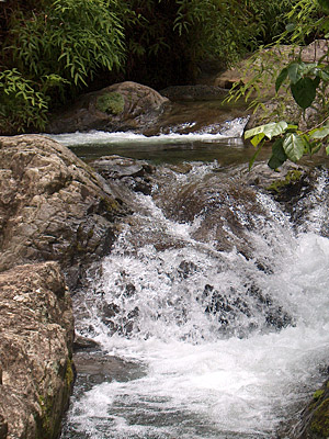 Klarer Gebirgsbach auf rund 1500 m ber dem Meer   Taktuk Domrep