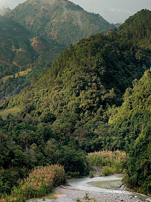 Blick in das dominikanische Zentralgebirge   N.Bruhn/CariLat