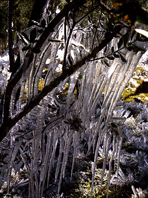 Eiszapfen in frostiger Hhe   Taktuk Domrep