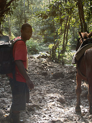 Unterwegs auf holprigen Pfaden   N.Bruhn/CariLat