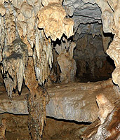 Belize: Im Jahr 2000 entdeckte Hhle im Pecarry Park  N.Bruhn/CariLat