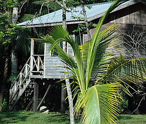 Belize: Typisches Pfahlhaus  N.Bruhn/CariLat