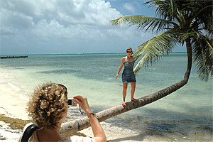 Palmen Sonne Meer © N.Bruhn/CariLat