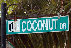 Ambergris Caye: Coconut Drive eine der beiden Ortshauptstraen   N.Bruhn/CariLat