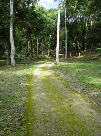 Historischer Weg in Yaxha
