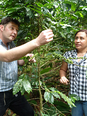 Holger Afflerbach inspiziert mit Mitarbeiterin Zoila Patricia Cruz Kaffeepflanzen in einer Farm im Umland von Tegucigalpa.