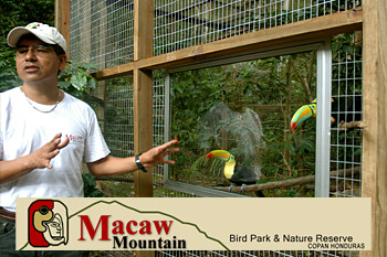 Macaw Mountain Bird Park & Nature Reserve
