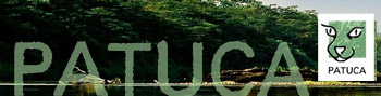 Patuca e. V - Engagement f�r die Umwelt und Bildung in Honduras.