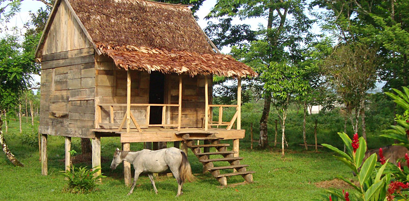 Honduras: Brotfrucht und Stelzenhaus - Leben mit Ureinwohnern in der Moskitia-Region