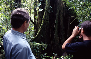 Auf dem Naturpfad im Jaguar-Reservat
