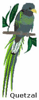 Quetzal