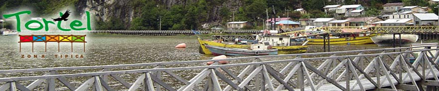 Schwingende Holzstege, abschssige Wege  Encargada Unidad Turismo - www.visitetortel.cl