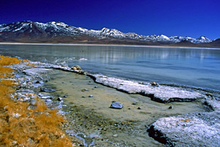 Royal Decameron Salinitas