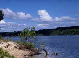 Foto: S.T.O. Suriname Travel Organisation