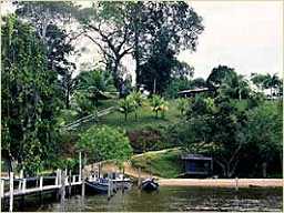 Shanklands Rainforest Resort